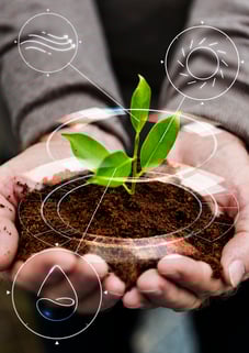 iot-agricultura-inteligente-fondo-arbol-plantacion-manual